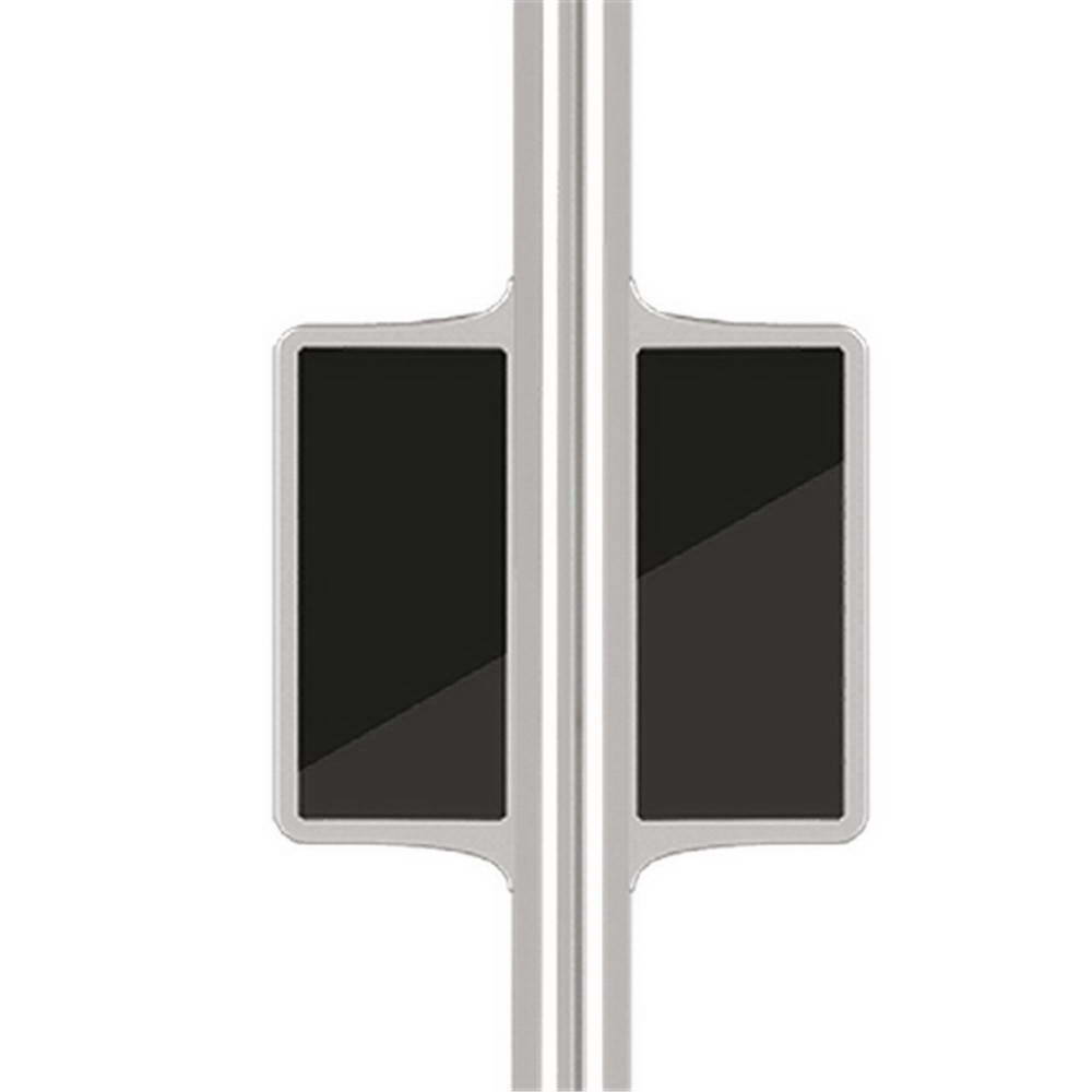 現(xiàn)代銀杏